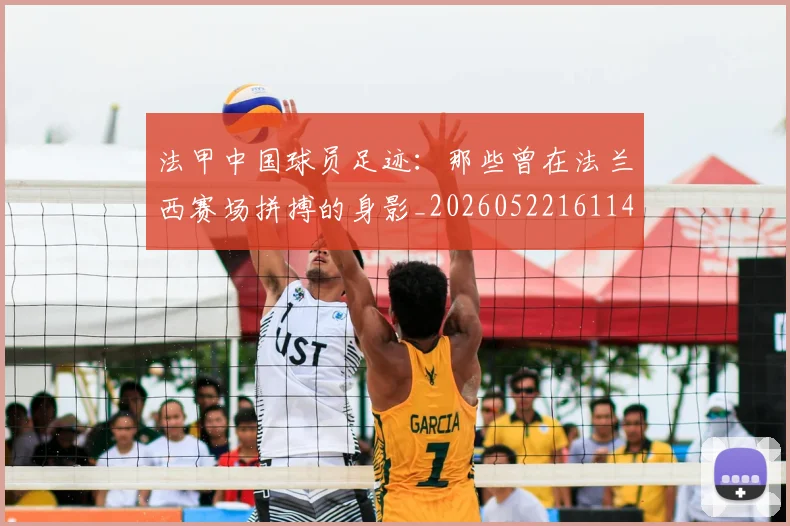 法甲中国球员足迹:那些曾在法兰西赛场拼搏的身影_20260522161146